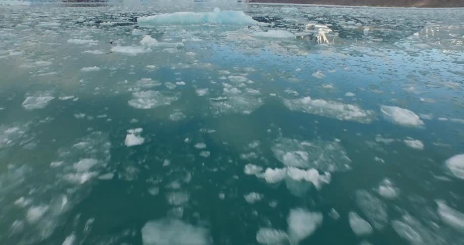 The water is filled with ice