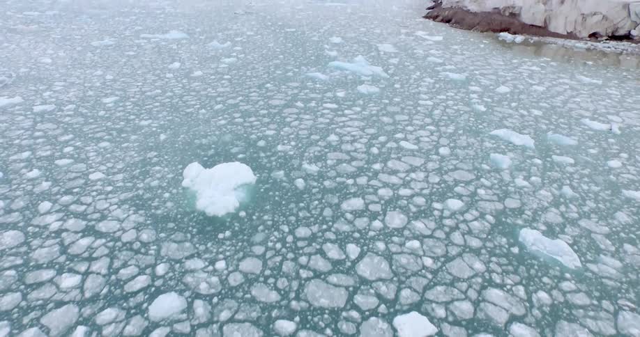 An ice floe floats in the ocean along a coastal glacier