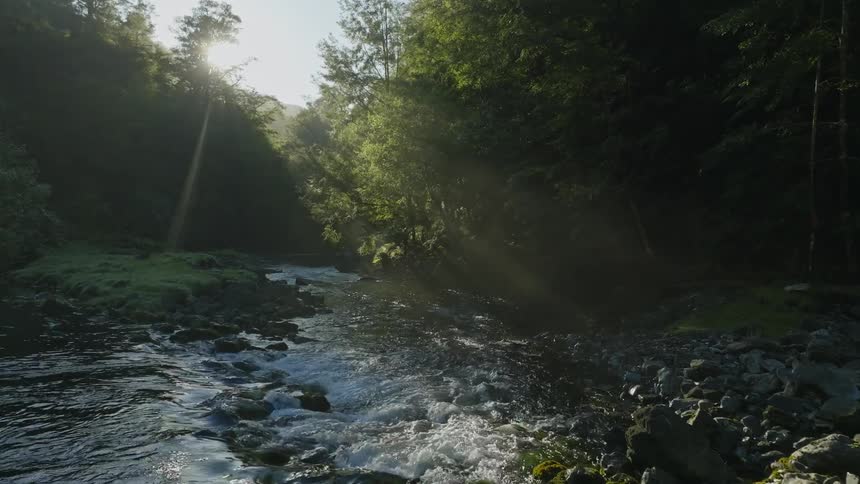 The sun shines on a stream flowing through the forest with moss covered rocks along the riverbed