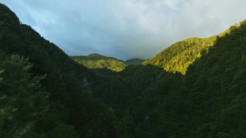 Aerial view of valley and mountain forest