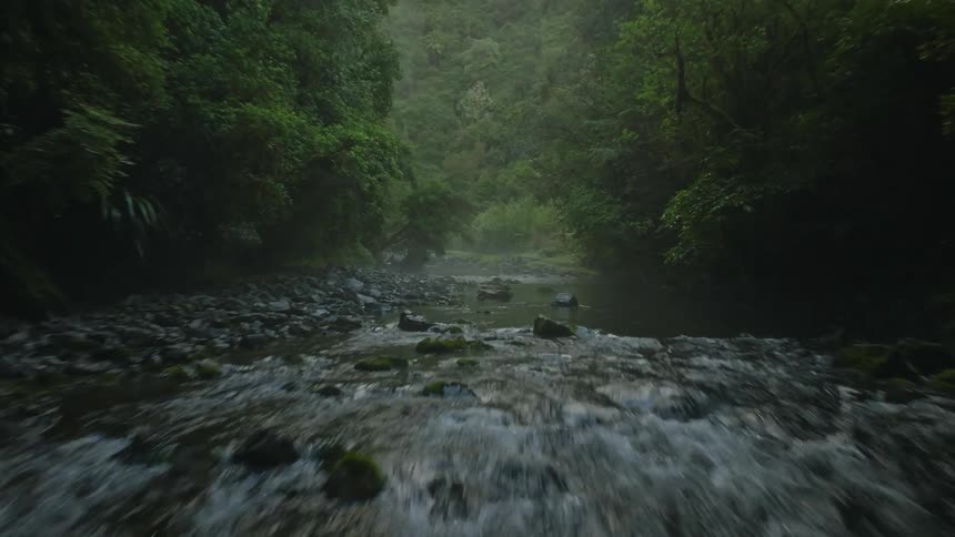 Water flows over rocks along shallow stream passing through misty woods