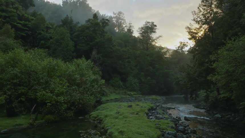 Grass grows along the bank and water splashes as a stream runs over moss covered rocks in the forest