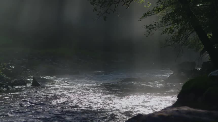 Sunlight shines on a river flowing over rocks in the forest