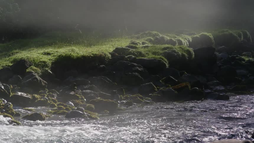 River running through narrow part with rocks sunlight moss and other greenery