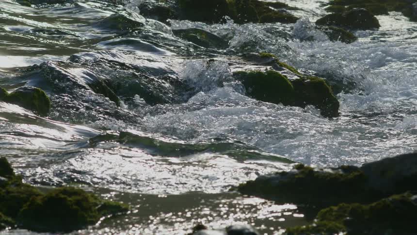Sunlight shines on the water in the stream as it flows over moss covered rocks