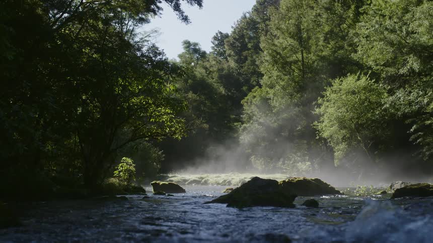 A stream flows over rocks along the riverbed in the forest as sunlight shines on the rising fog