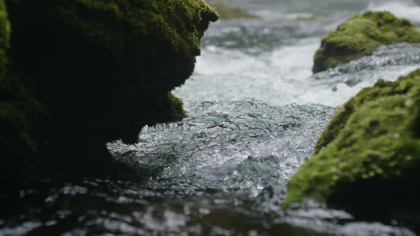 Narrow end of stream running through mossy rocks during the day