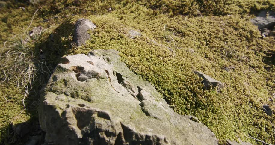 The camera passes above a rocky landscape covered in vegetation