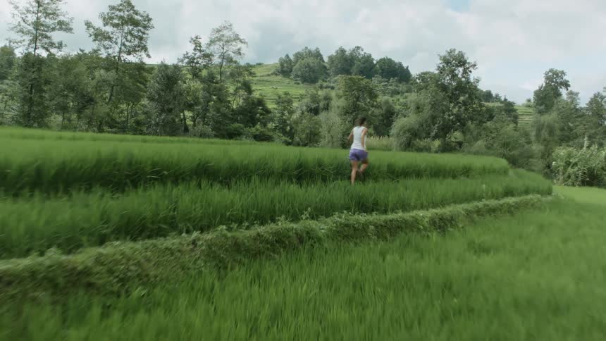 An aerial of a woman running along tall grass near a line of trees