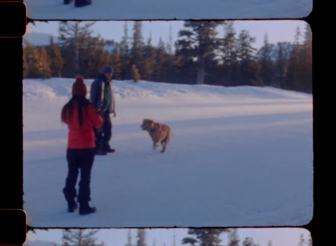 A golden retriever running through the snow towards two people standing as the dog runs between them