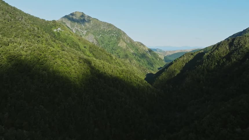 A mountain range covered in vegetation under a clear daytime sky