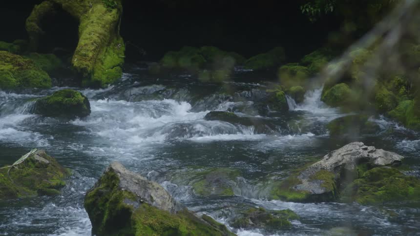 Water in a stream splashes as it flows over moss covered rocks