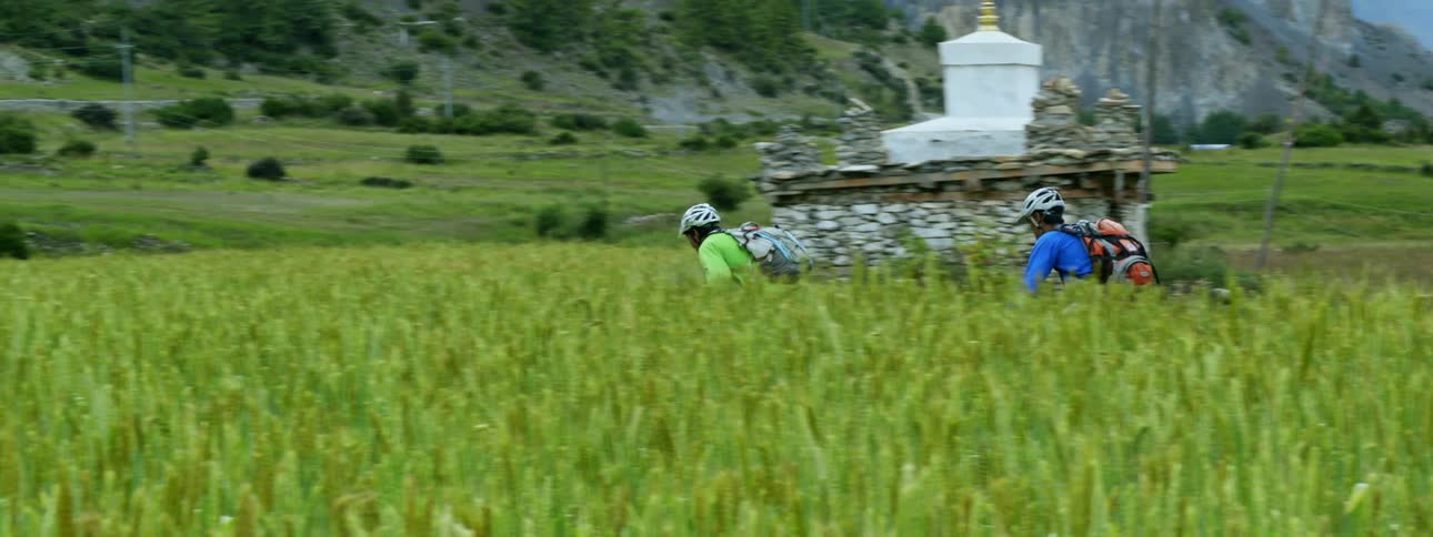 Two people on bicycles ride along a road that winds through a scenic valley