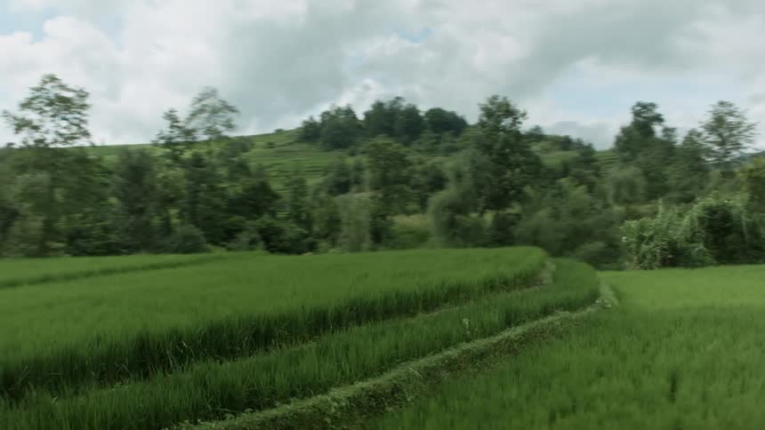 Drone view of runner running along path in grassy field during the day