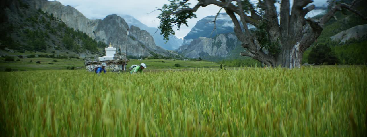 Two cyclists riding cross country along countryside looks like switzerland or france