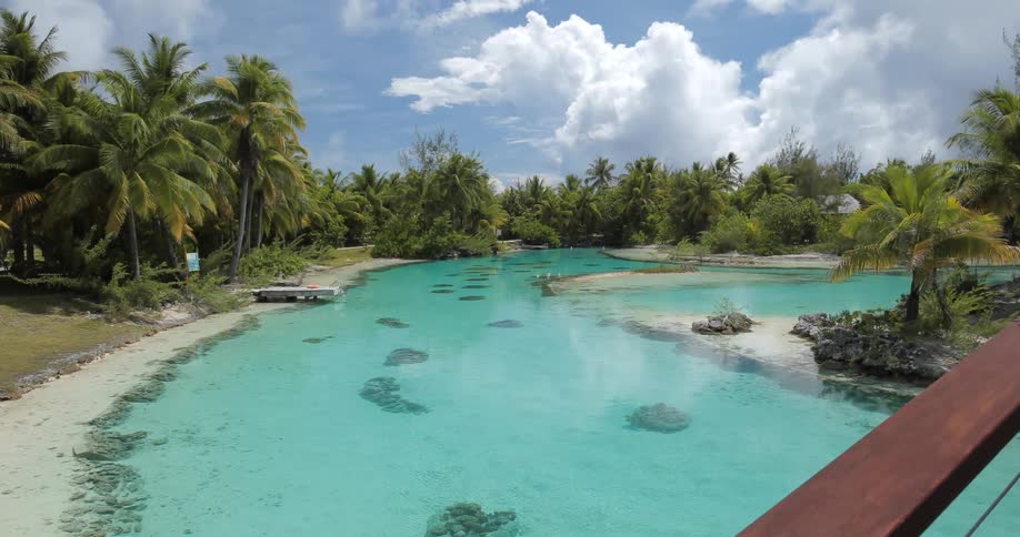 Blue water is surrounded by palm trees