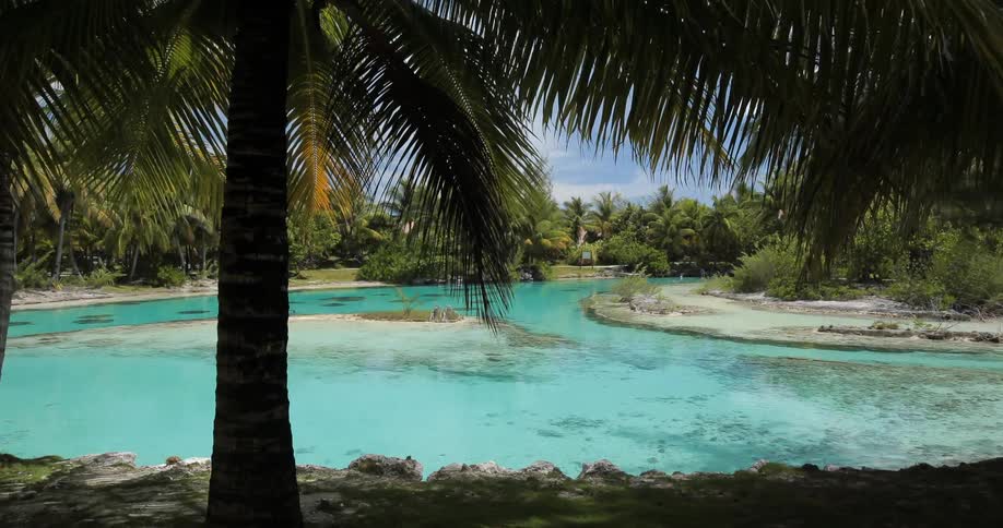 Trees lead to some blue water and small islands