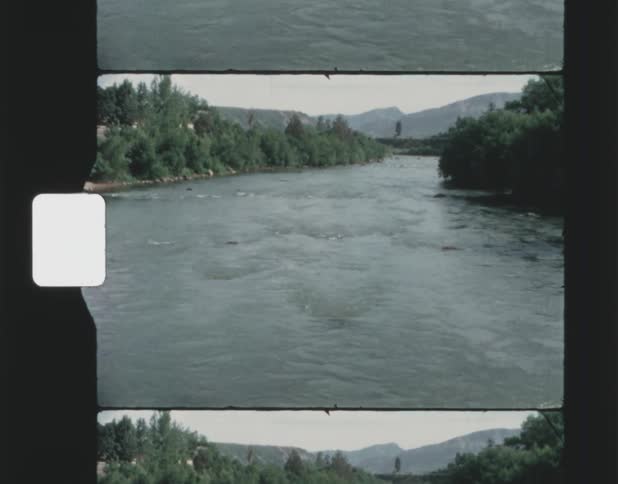 A very wide river flows swiftly through an area full of many trees