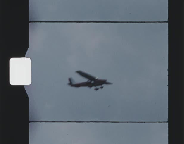 Airplane flies in the sky