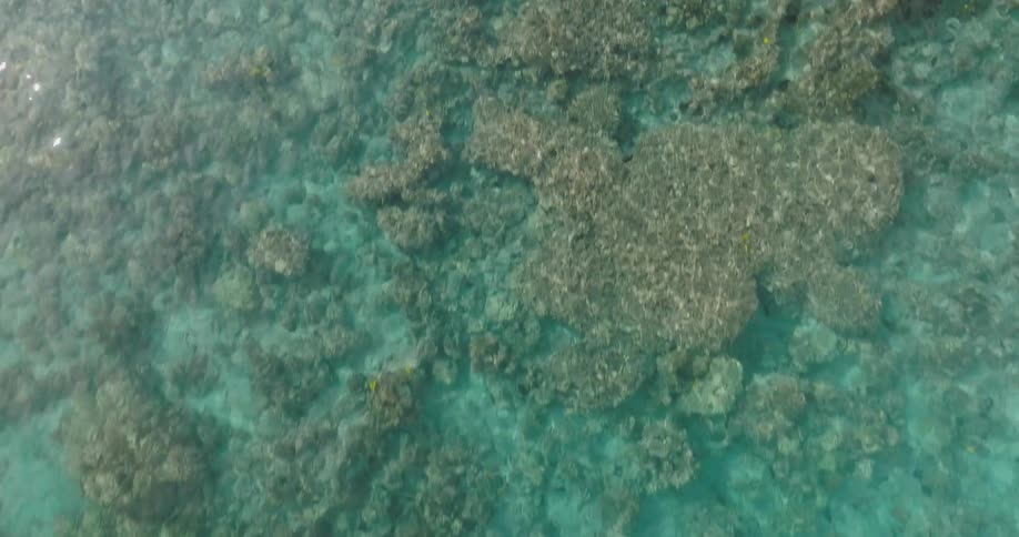 Rippling turquoise ocean water