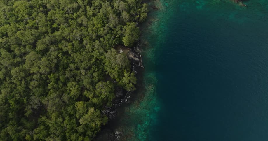 White statue sits in forest clearing on shore of blue green water