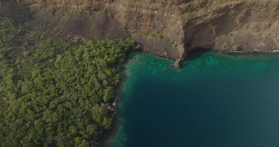 Gentle waves crash onto rocks and trees below a cliff