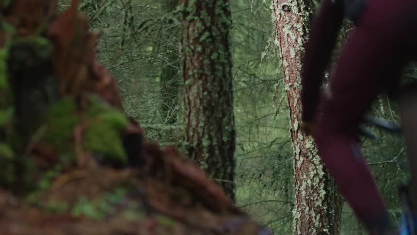 Cyclist rides mountainbike along sloping trail and through gap between trees in forest