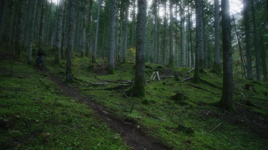 A man riding a mountain bike down a hill