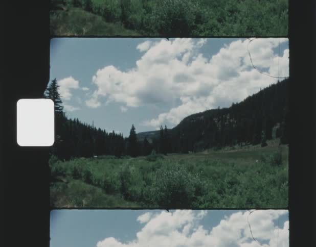A grassland in a mountain valley during the day