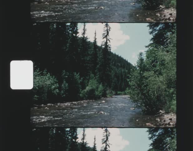 A river through a forested countryside during the day