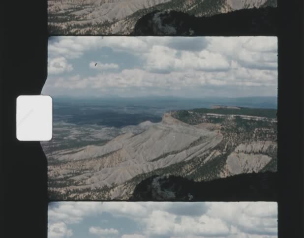 Trees grow along the top and sides of a cliff in a canyon