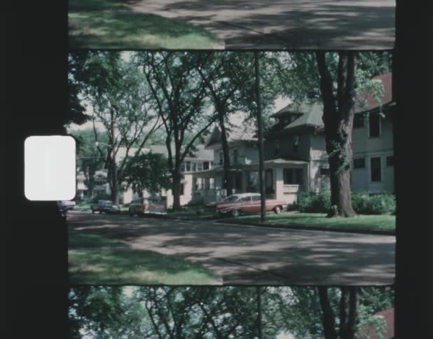 Vehicles pass on the cross road of treelined residential street