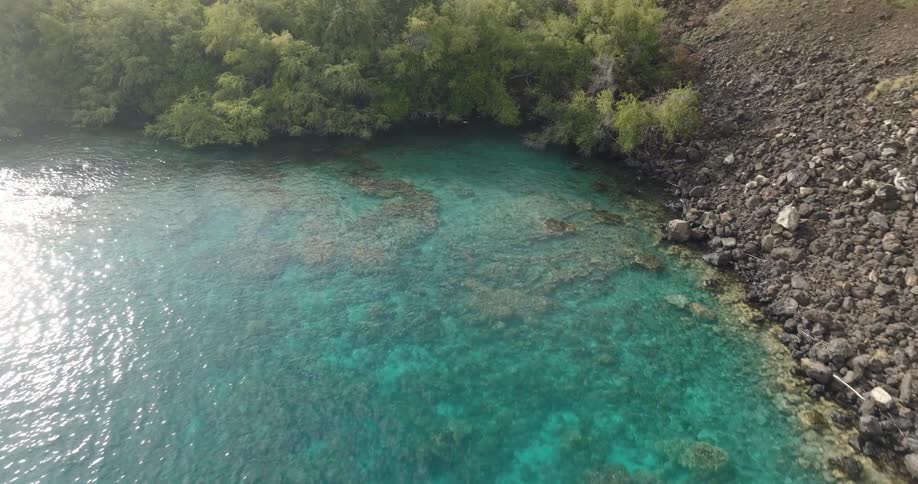 The view is of the nature area and you can see the sea