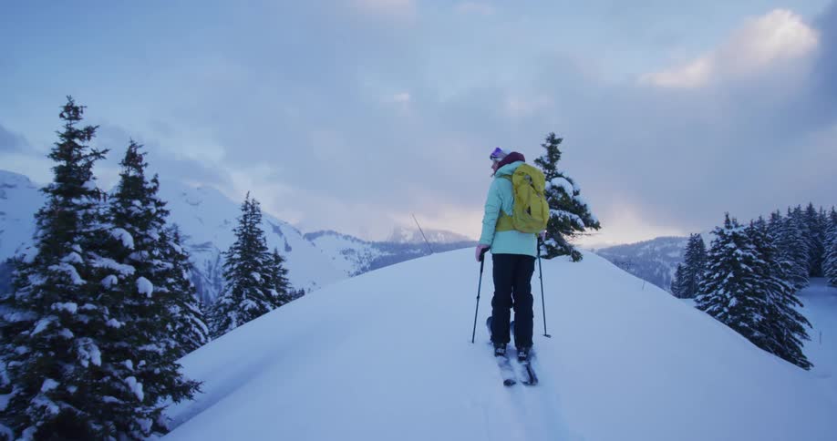 A woman wearing skis and a backpack is standing on top of a snow covered mountain holding ski poles
