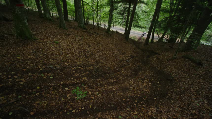 A bike races down the hill