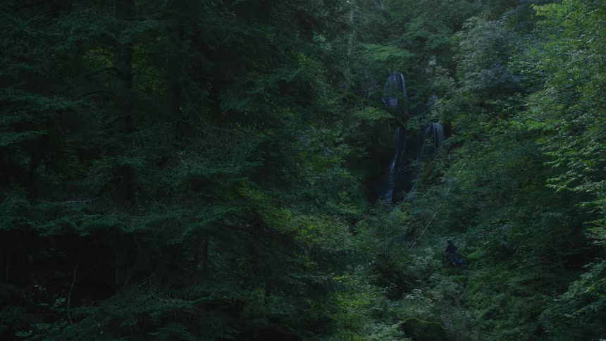A hiker makes their way towards a waterfall that is tucked deep in a forest