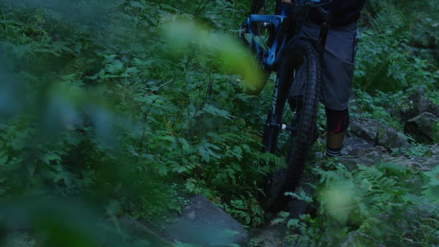 Man with gray shorts and dark blue shirt carries bicycle in the forest