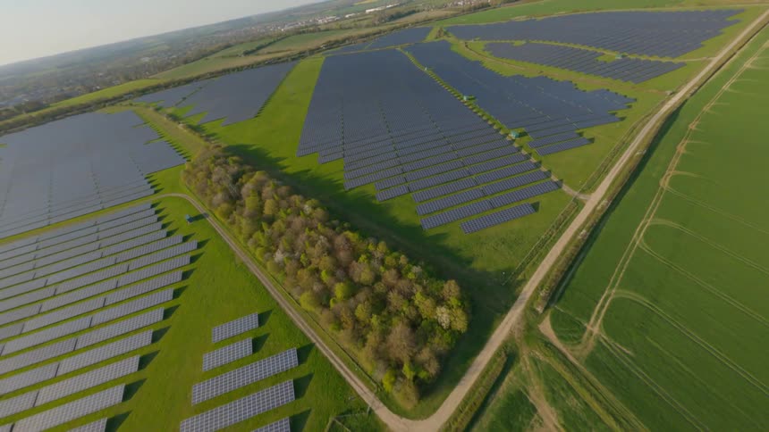 Solar panels are lined in neat rows in an open field