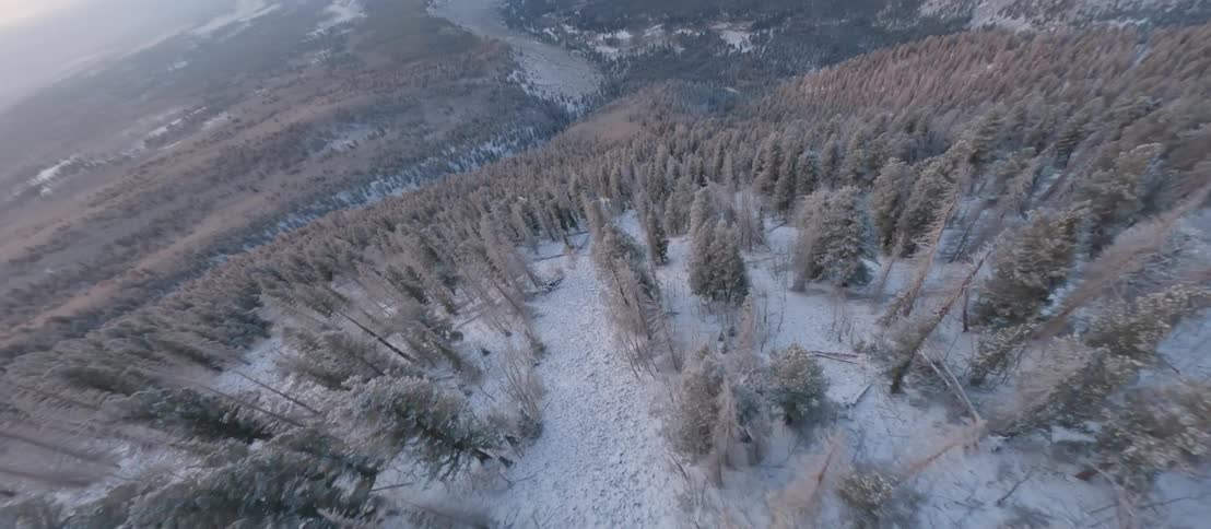 An aerial view of a snowy mountain side with trees in winter