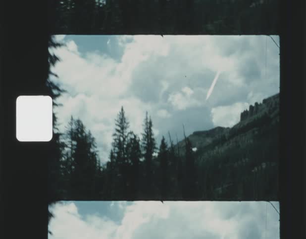 Film footage of trees covering the mountains is displayed