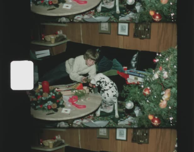 A child plays with his dog on christmas