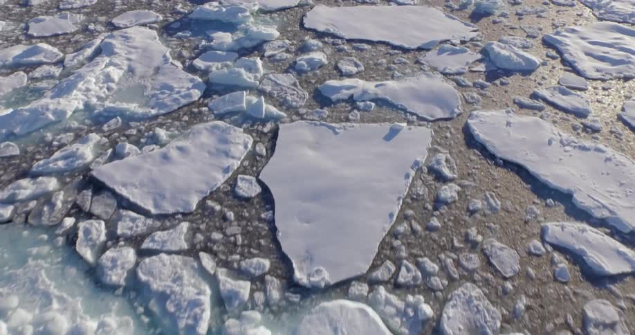 Ice chunks in a body of water