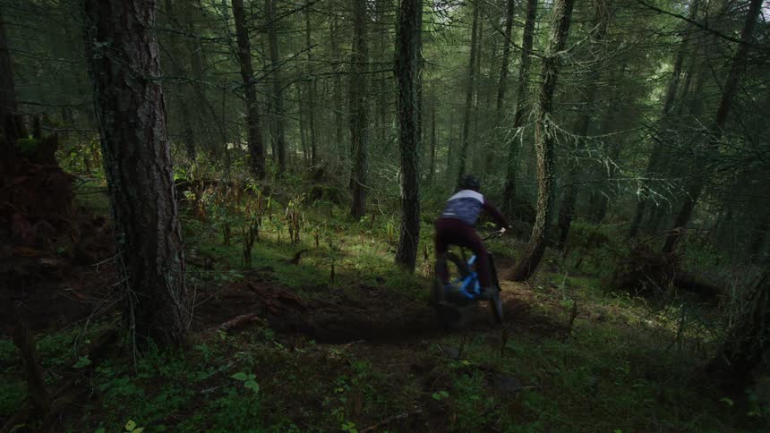 Cyclist rides bike along path winding through woods