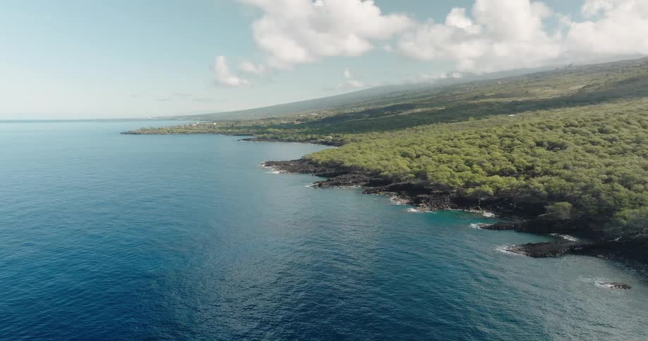 An aerial of a coastline meeting a dense forest separated by rocks on the coast