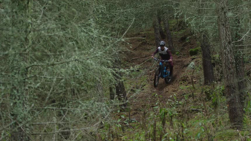 A man riding a mountain bike through a forested area in nature