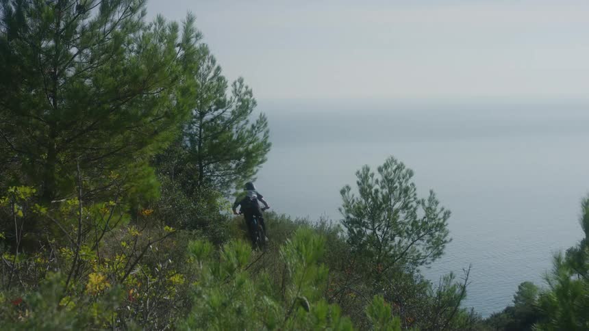 A person riding a mountain bike down a hillside with vegetation