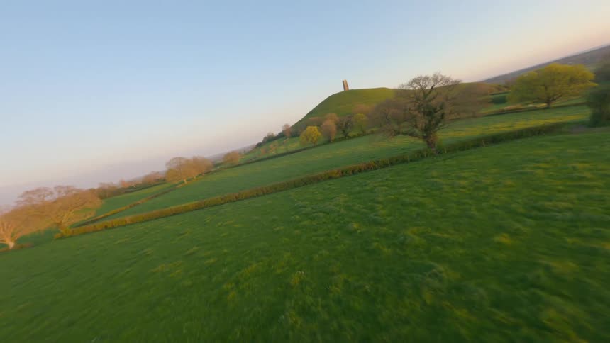 An aerial of a lush green grassland separated by tree lines and shrubs