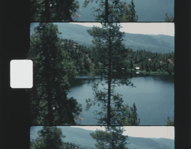 A view of a lake with trees around it