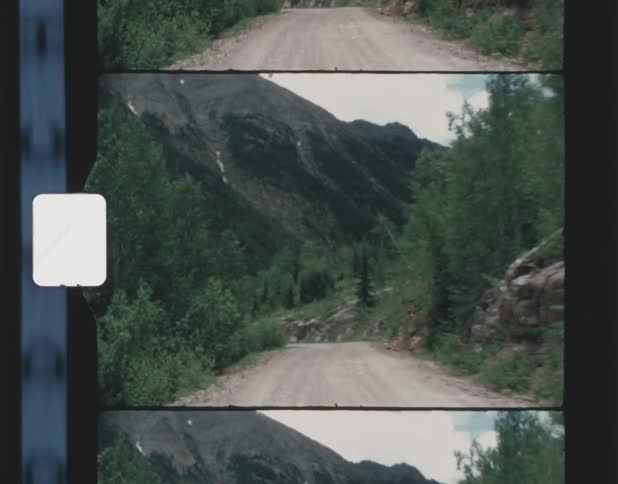 A car drives down a dirt road in a canyon lined with trees