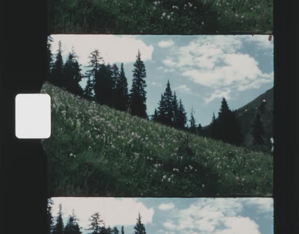 An archival film shows a still shot of a hill with pine trees and a sky behind it